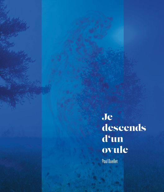 couverture c1
